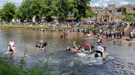 Appleby Horse Fair 2024