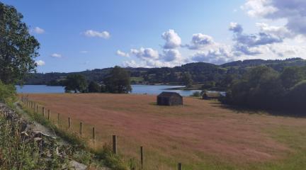 Esthwaite Water - Nutrient Neutrality