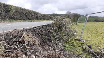 A flattened hedge adjacent to the roadside of the A65 caused by a HGV inccident