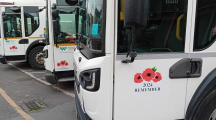 Poppies on side of council fleet vehicles. 