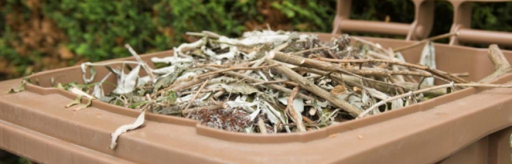 A brown wheelie bin full of garden waste