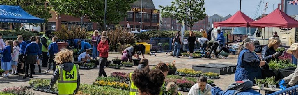 Schoolchildren planting flowers on some raised beds.