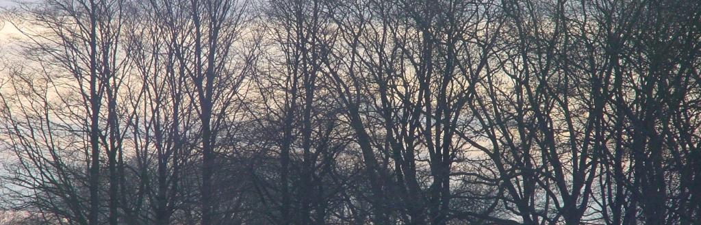 Winter landscape in Westmorland and Furness area